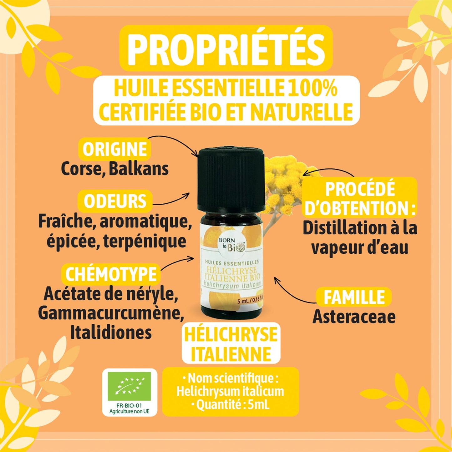 Huile essentielle Hélichryse italienne Certifiée Bio