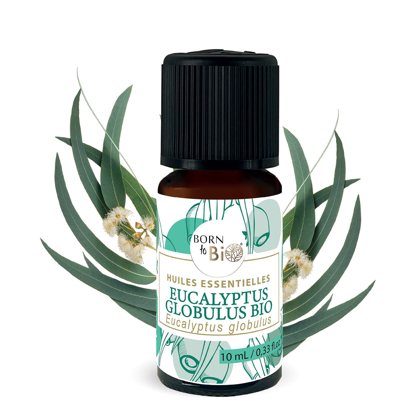 Huile essentielle Eucalyptus globulus Certifiée Bio-0