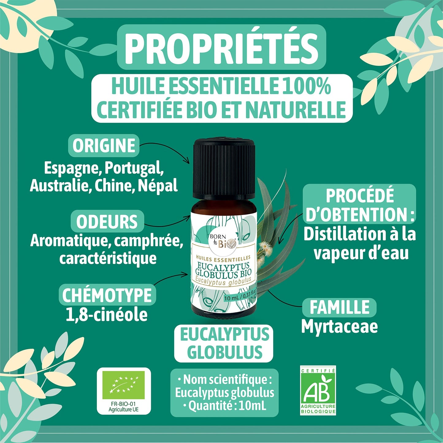Huile essentielle Eucalyptus globulus Certifiée Bio-1
