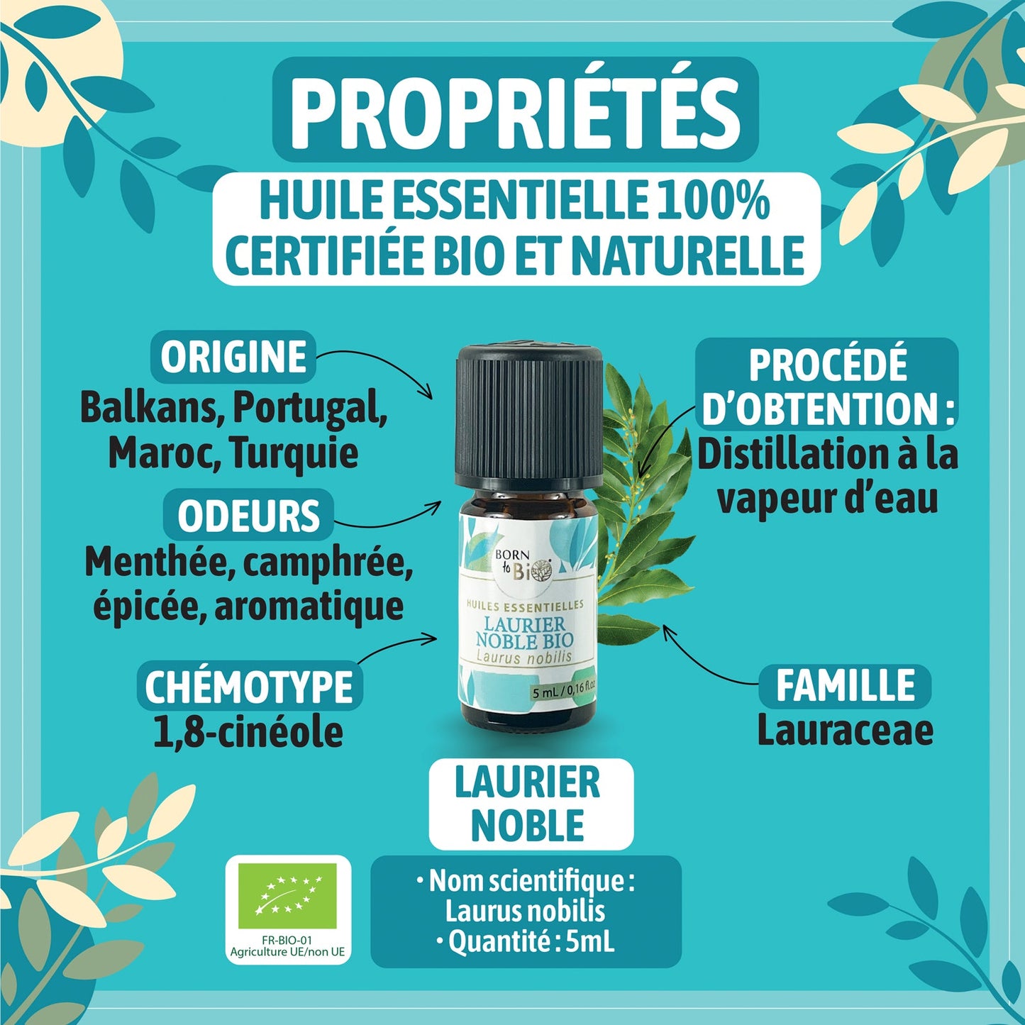 Huile essentielle Laurier noble Certifiée Bio