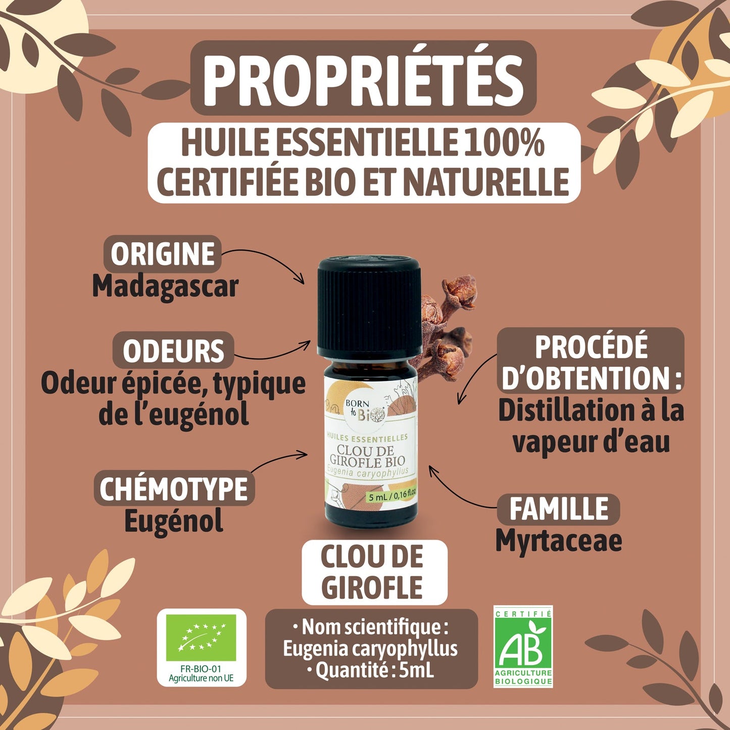 Huile essentielle Clou de Girofle Certifiée Bio-1