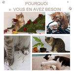 Arbre à chat arbre à grimper griffoir pour chat hauteur 72 cm balle suspendue gris foncé