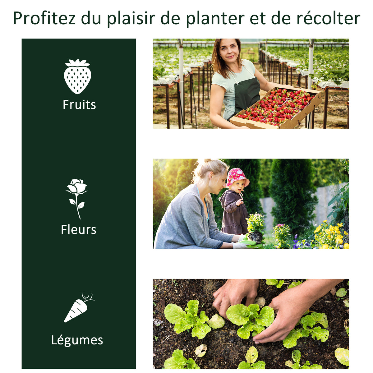 Serre de Jardin Tunnel mini serre tunnel serre à tomates 2L x 1l x 0,8H m Grande Porte zippée bâche Plastique Transparent métal époxy Vert