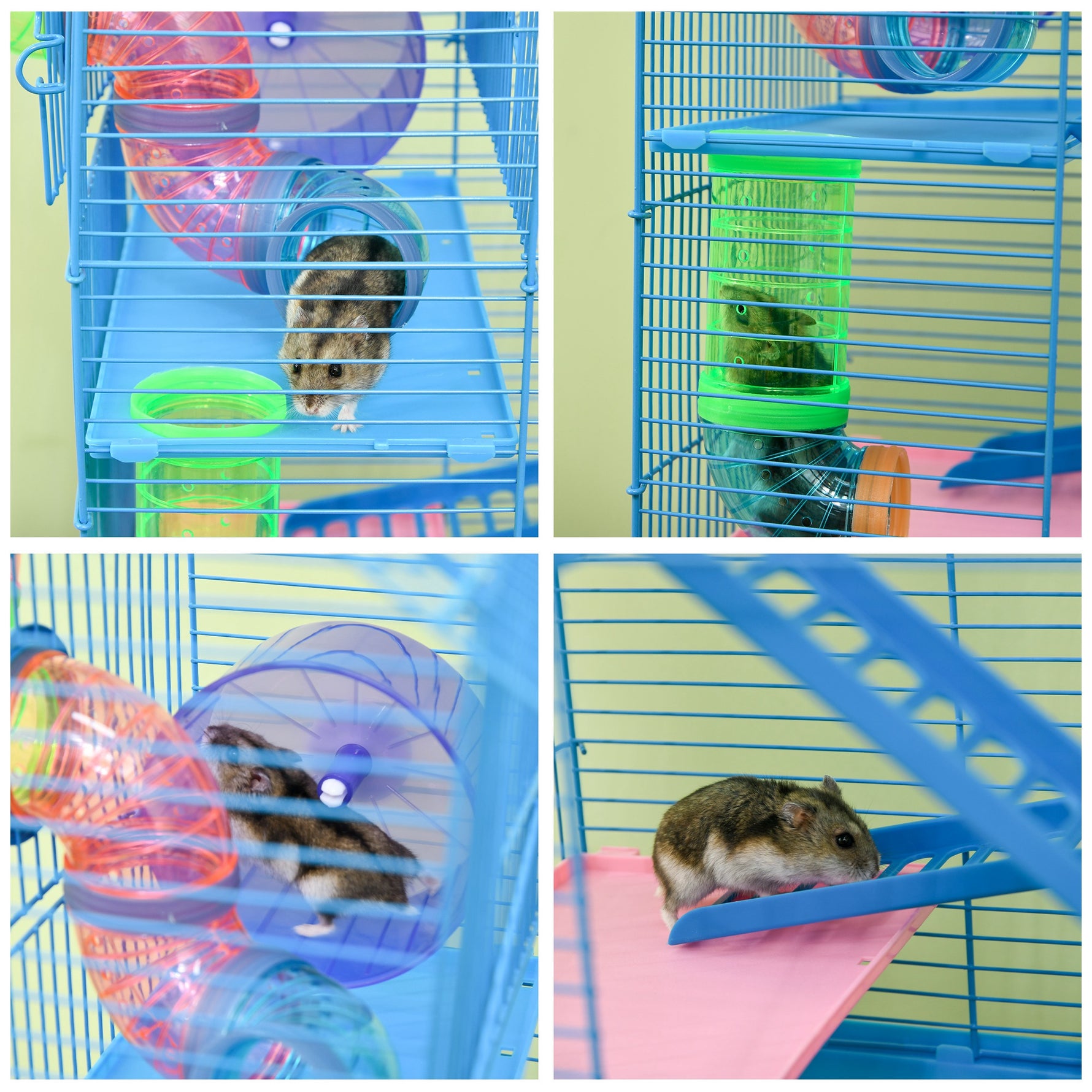 Cage pour Hamster Souris Petit Animaux Rongeur avec Tunnel Mangeoire Roue Jouet 47 x 30 x 59 cm Bleu