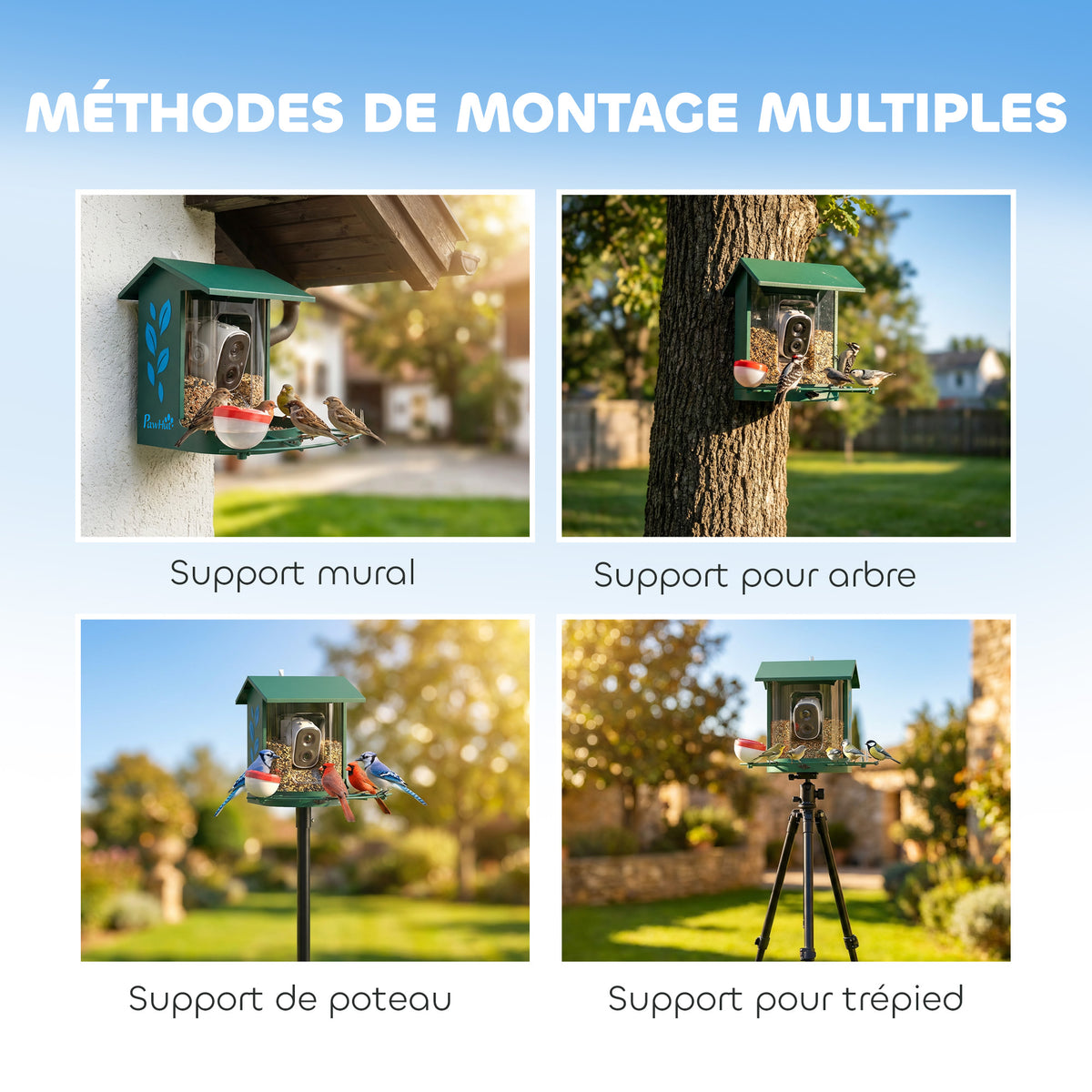 Mangeoire à Oiseaux avec Caméra 2K Solaire 2,5L 142°, Identification IA 16000+, App, IP65, SD 32 Go, 30x34,5x26,3cm Vert