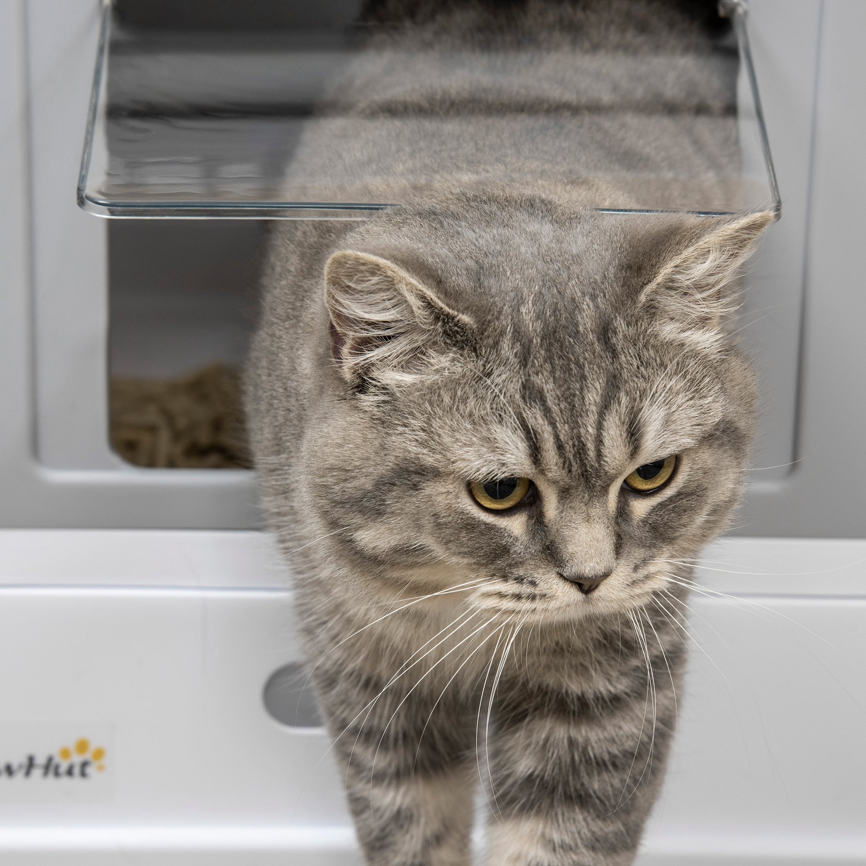 Maison de toilette pour chat pliable double porte battante et supérieure pelle fourni 47,5 x 35,5 x 36,7 cm gris