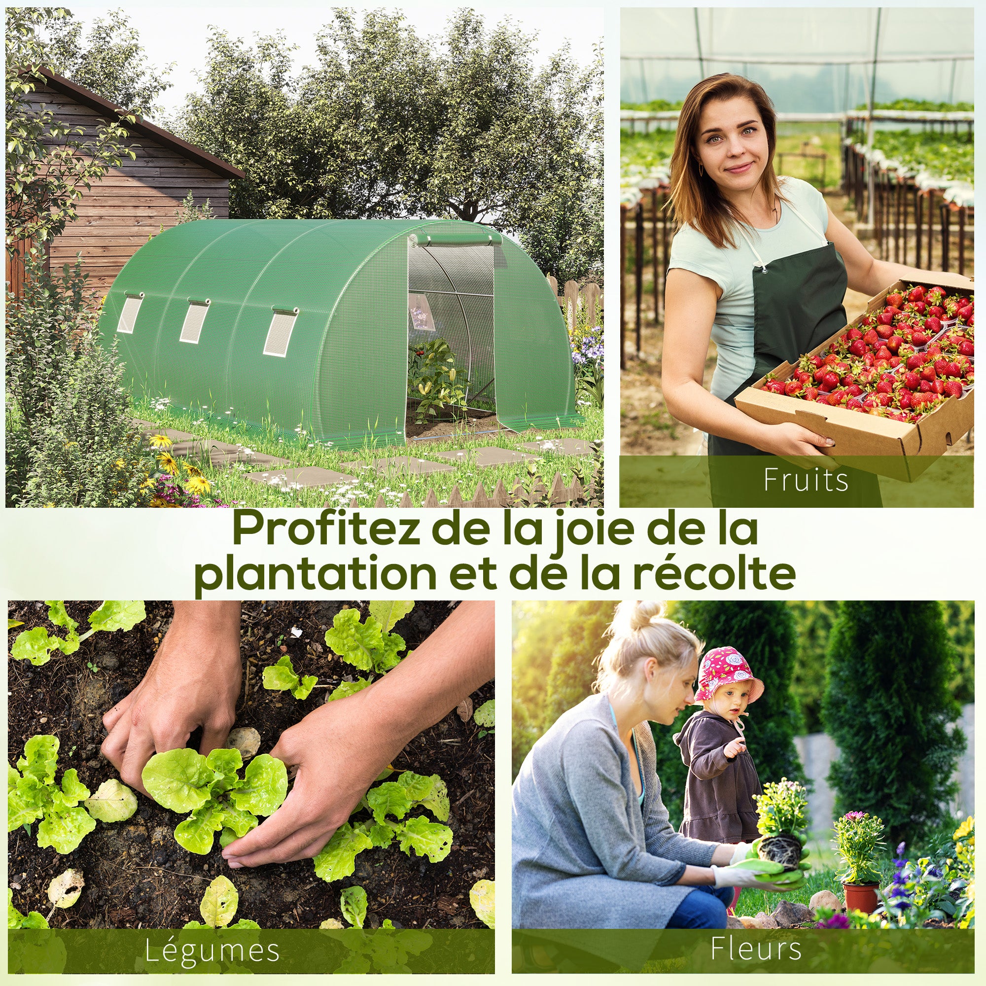 Texte alternatif de l'image