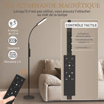 Lampadaire sur pied de salon avec télécommande, contrôle tactile, température couleur et luminosité réglables, noir