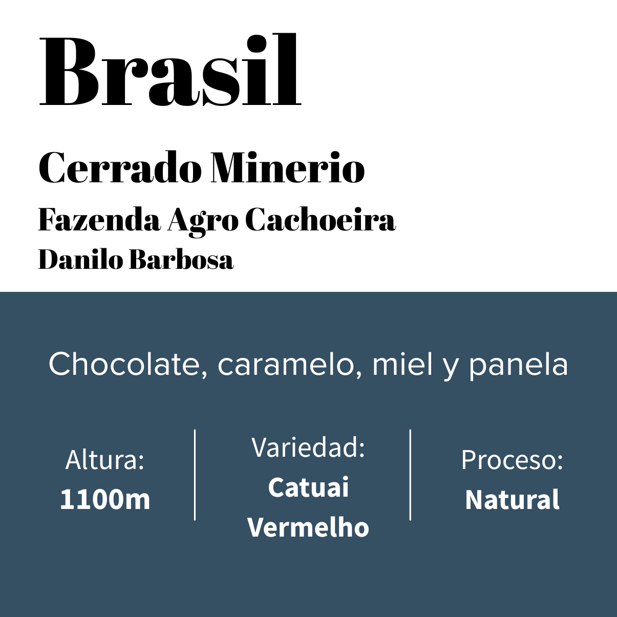 Brésil - Café spécial maison - Cerrado Mineiro - Natural
