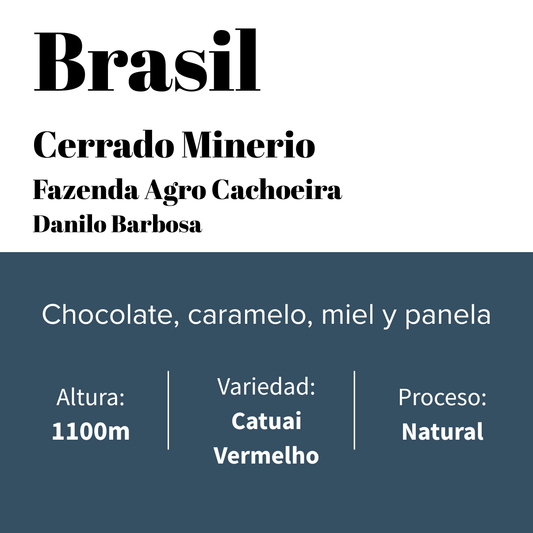 Brésil - Café spécial maison - Cerrado Mineiro - Natural