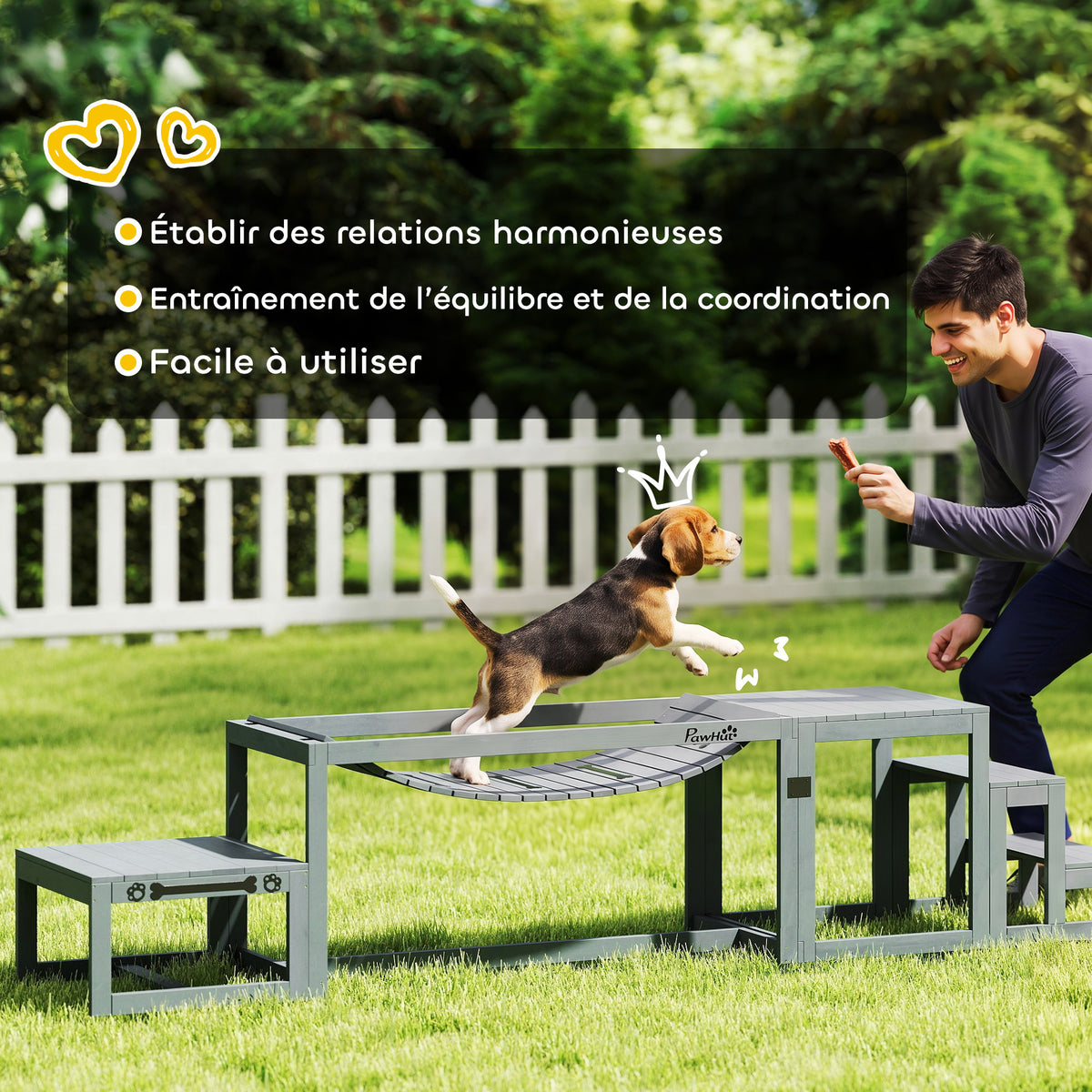 Dog agility training equipment 3-piece solid wood dog agility kit gray