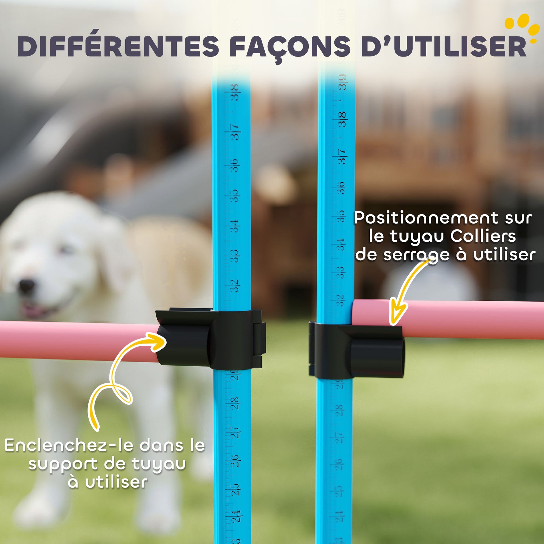 Agility Sport pour Chiens, Set de 4 Obstacles Professionnels avec Système de Maintien au Sol, 99x65x94cm, Bleu Clair