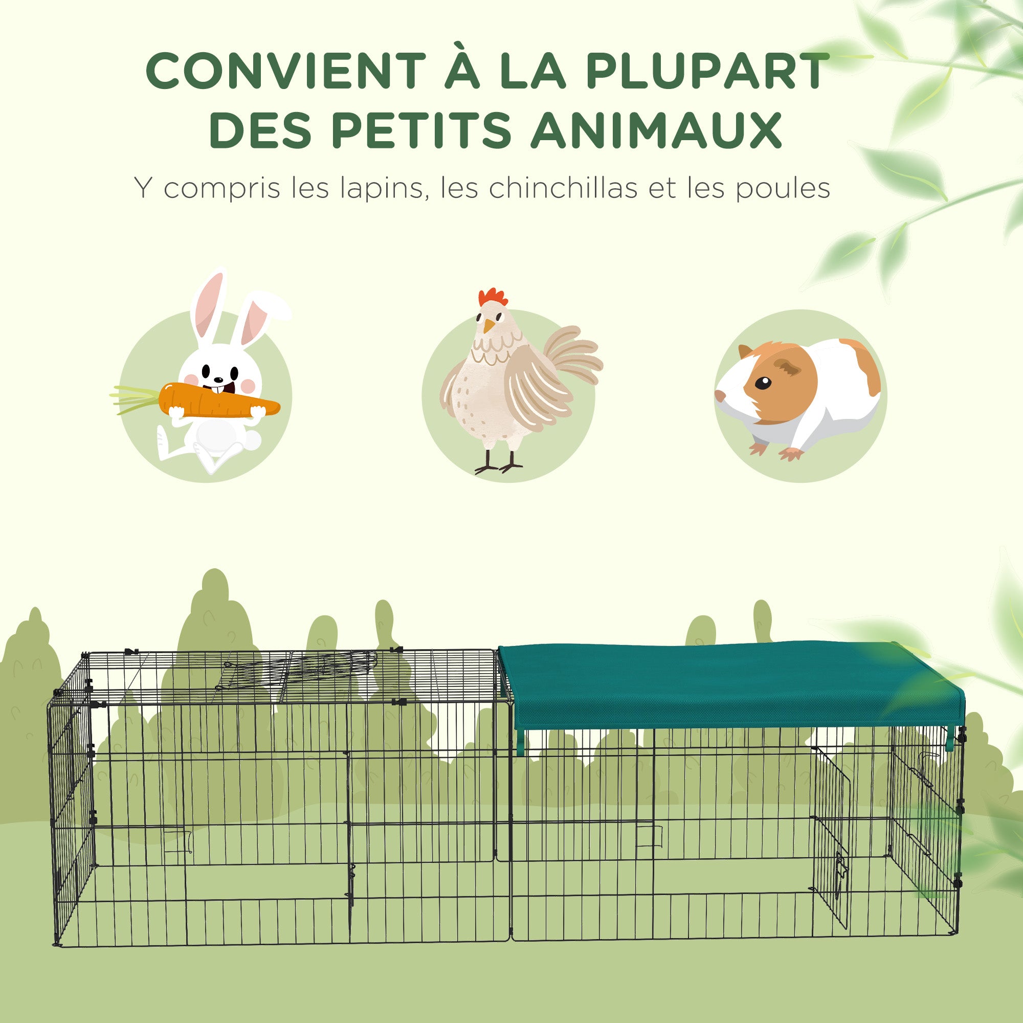 Texte alternatif de l'image