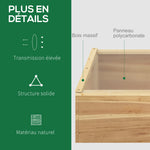 Mini Serre de Jardin Serre pour semis dim. 100L x 50l x 36H cm Toit 2 pans ouvrables séparemment Panneaux de Polycarbonate Bois Sapin pré-huilé