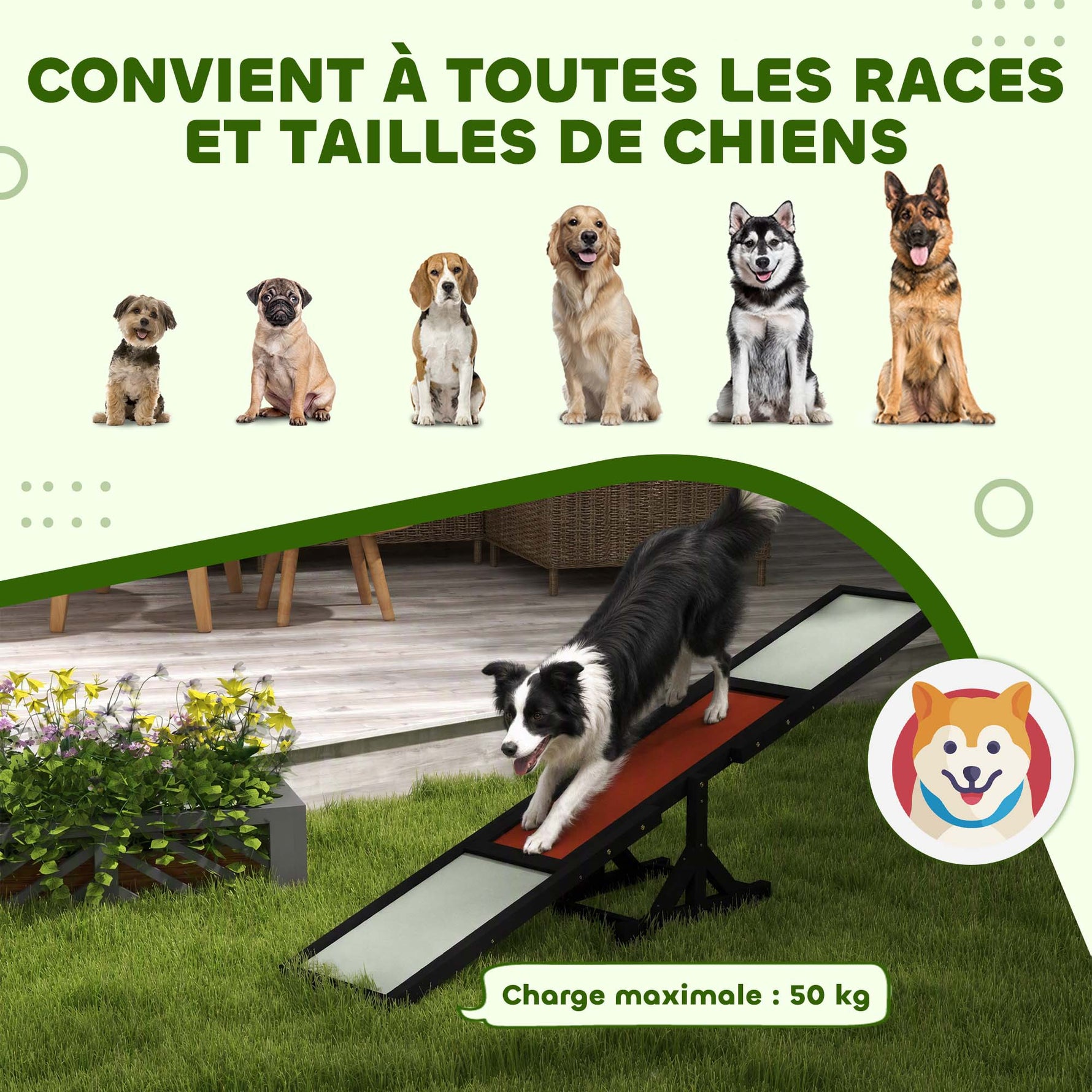 Agility sport pour chien bascule équipement entrainement chien bois sapin pré-huilé feutre bitumé antidérapant gris noir