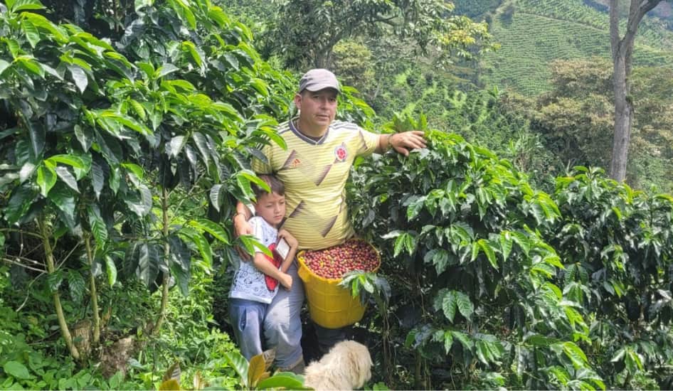 Colombie - Cadefihuila - Coopérative - Lavé