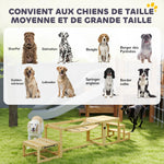 Équipements d'entraînement agilité pour chien kit d'équipement d'agilité pour chien 3 pièces en bois massif bois naturel