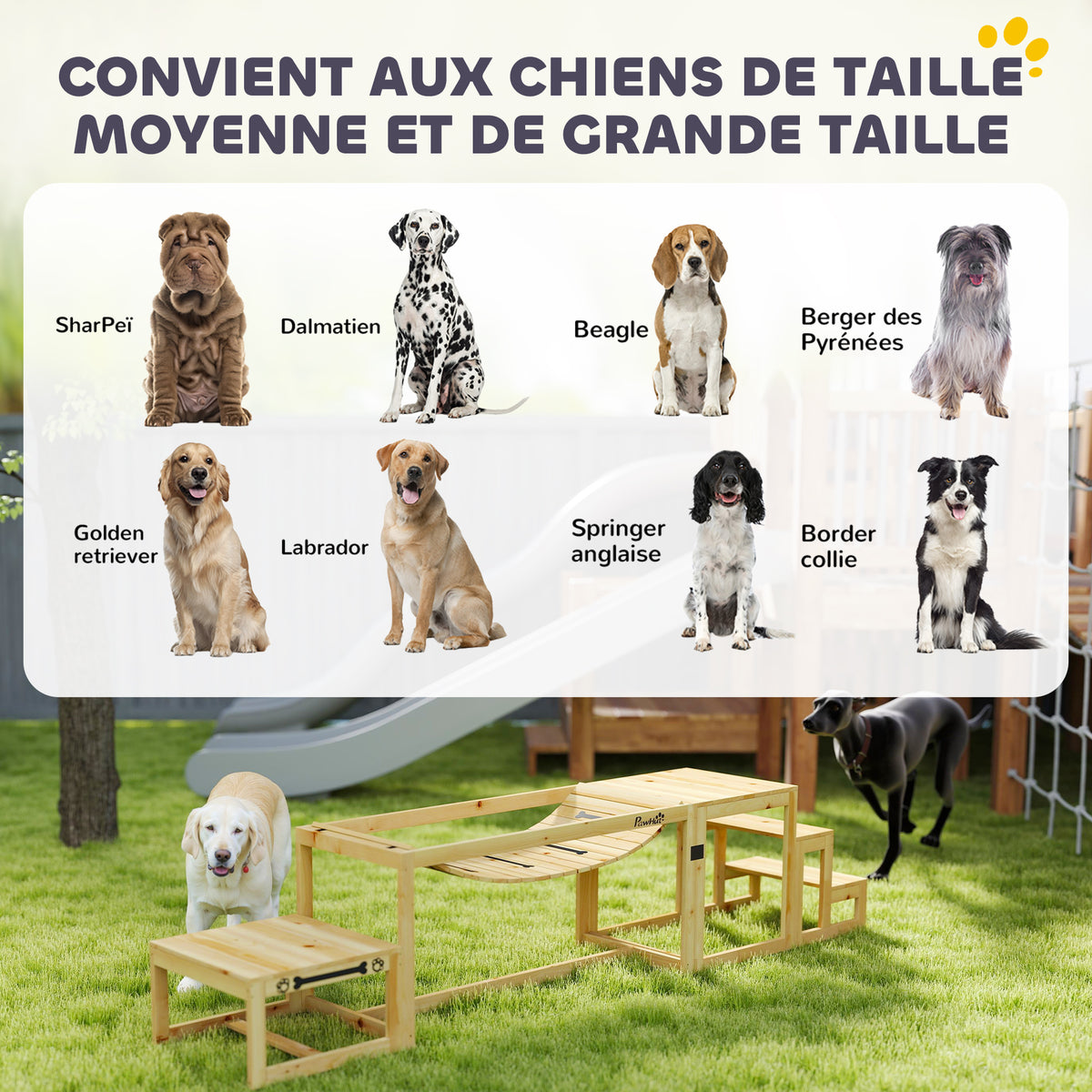 Équipements d'entraînement agilité pour chien kit d'équipement d'agilité pour chien 3 pièces en bois massif bois naturel