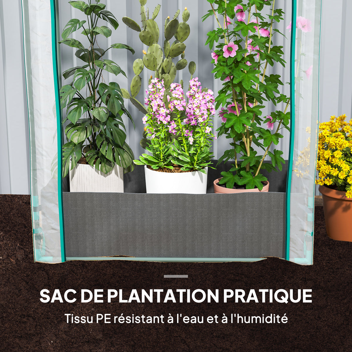 Mini serre de jardin serre balcon avec sac de plantation et housse en plastique renforcé, porte enroulable, transparente