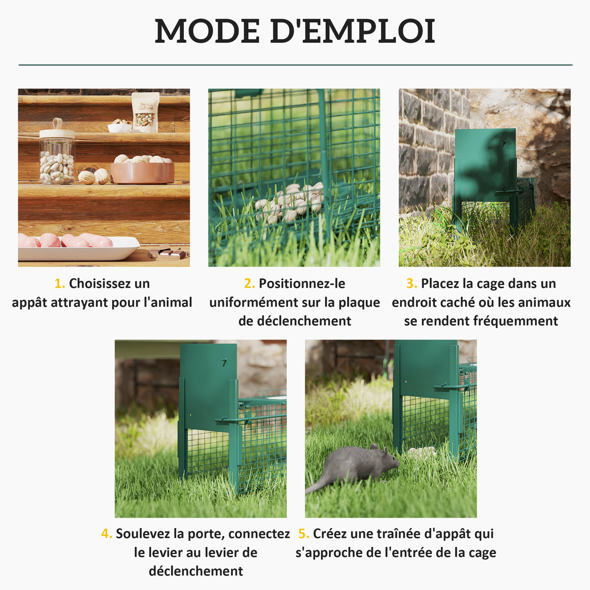 Cage attrape animaux nuisibles 1 entrée dim. 60 x 18 x 20 cm vert foncé