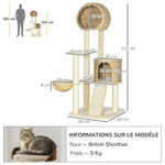 Arbre à chats griffoir sisal naturel 2 niches plateforme hamac peluche jacinthe d'eau - 60 x 60 x 150 cm beige