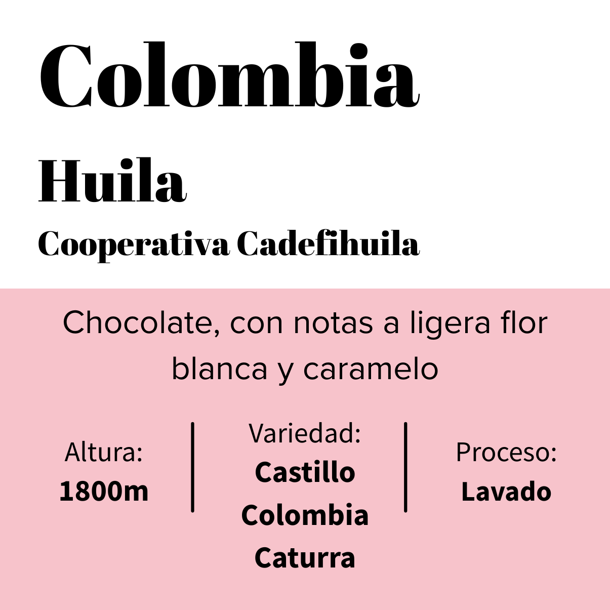 Colombie - Cadefihuila - Coopérative - Lavé