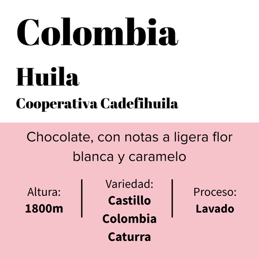 Colombie - Cadefihuila - Coopérative - Lavé