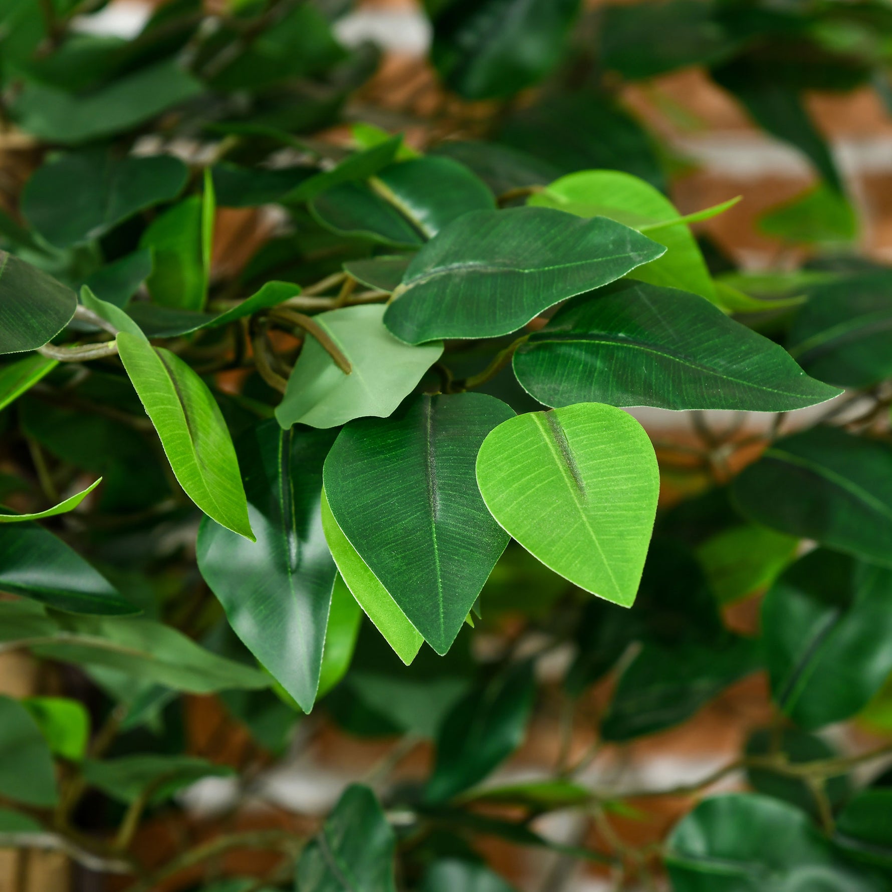 Lot de 2 plantes artificielles ficus hauteur 1,50 m tronc branches liane lichen feuilles grand réalisme pot inclus vert