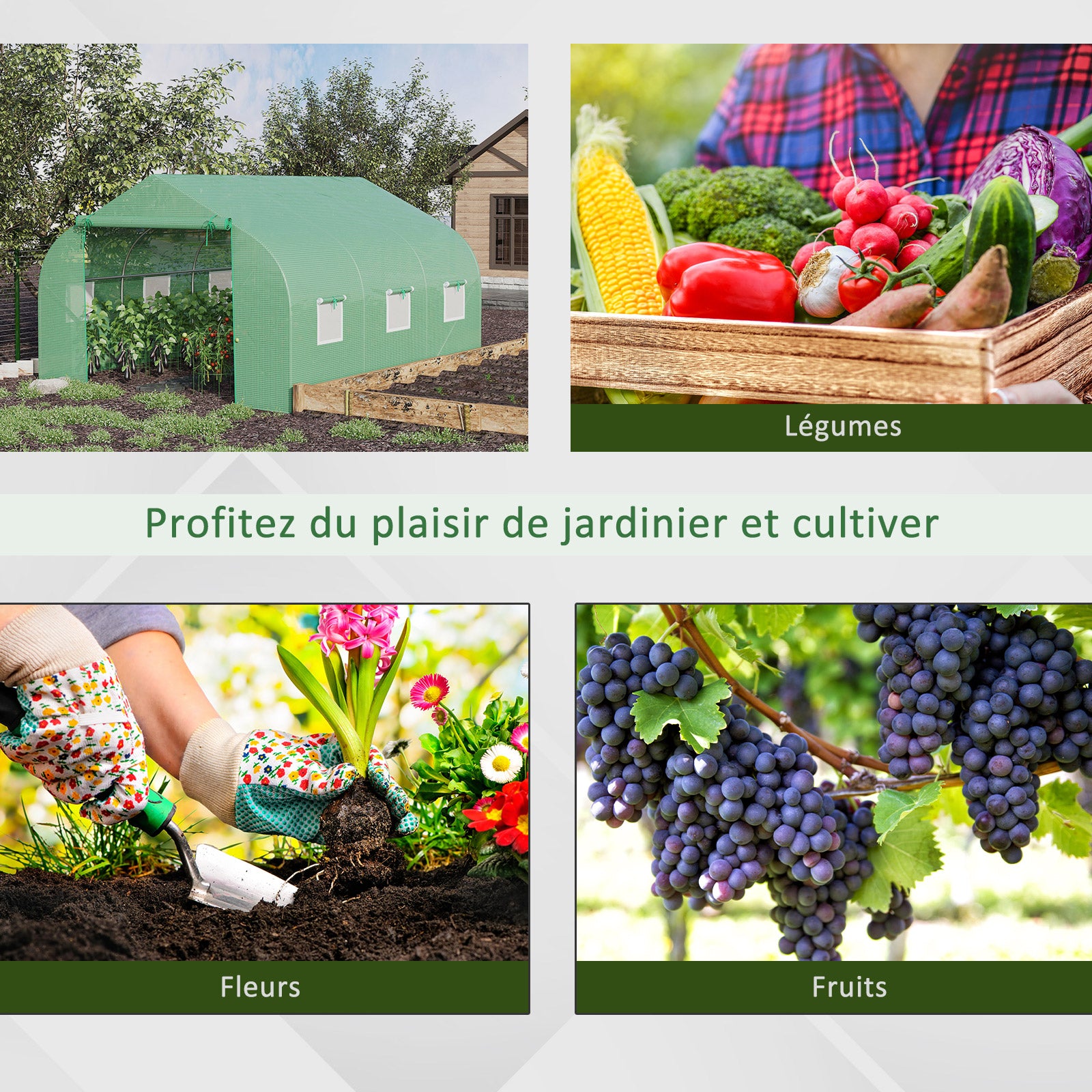 Texte alternatif de l'image