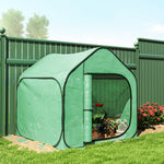 Mini serre pop-up petite serre légumes plante fleurs avec porte à fermeture éclair en PE 150 x 148 x 148 cm vert