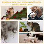 Tonneau à Gratter pour Chat, Arbre à Chat Sisal Naturel et Herbiers Marins Recouvert de Peluche, 37,5 x 37,5 x 70 cm, Kaki et Café
