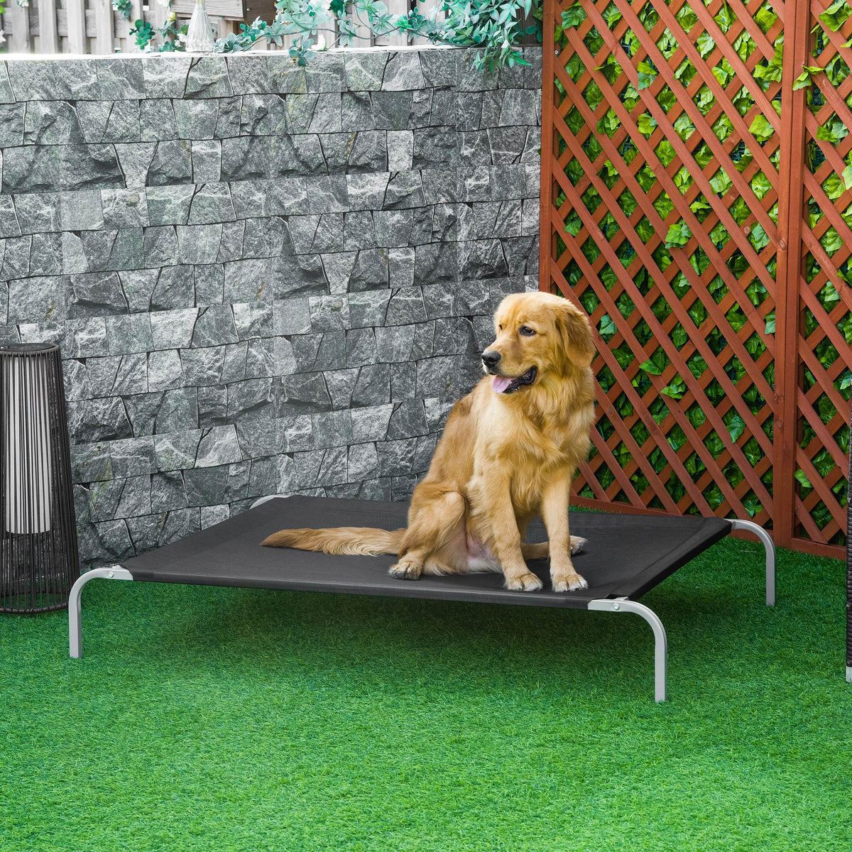 Lit pour chien chat XXL grand confort sur pieds lit de camp 130L x 90l x 20H cm textilène micro-perforé noir