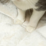 Cuccia per gatti casetta per gatti cuscino morbido interno spazioso in tifa 45 x 41 x 37 cm marrone