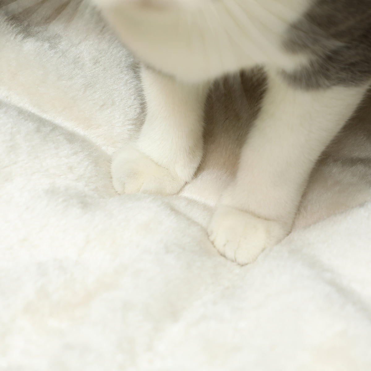 Cuccia per gatti casetta per gatti cuscino morbido interno spazioso in tifa 45 x 41 x 37 cm marrone