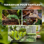 Terrarium en verre pour reptiles vivarium 12 L avec couvercle en treillis métallique, 20 x 20 x 30 cm, noir