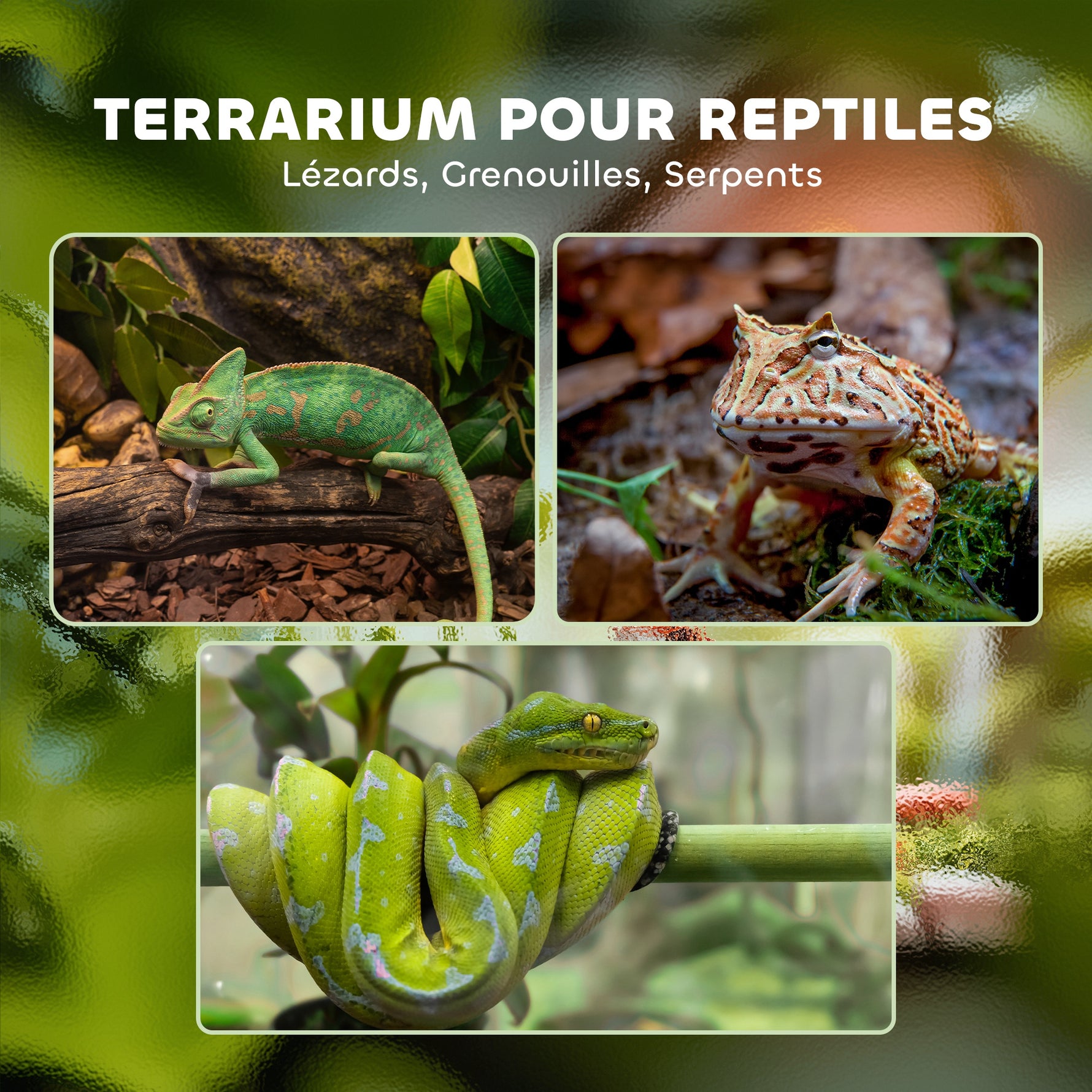 Terrarium en verre pour reptiles vivarium 12 L avec couvercle en treillis métallique, 20 x 20 x 30 cm, noir