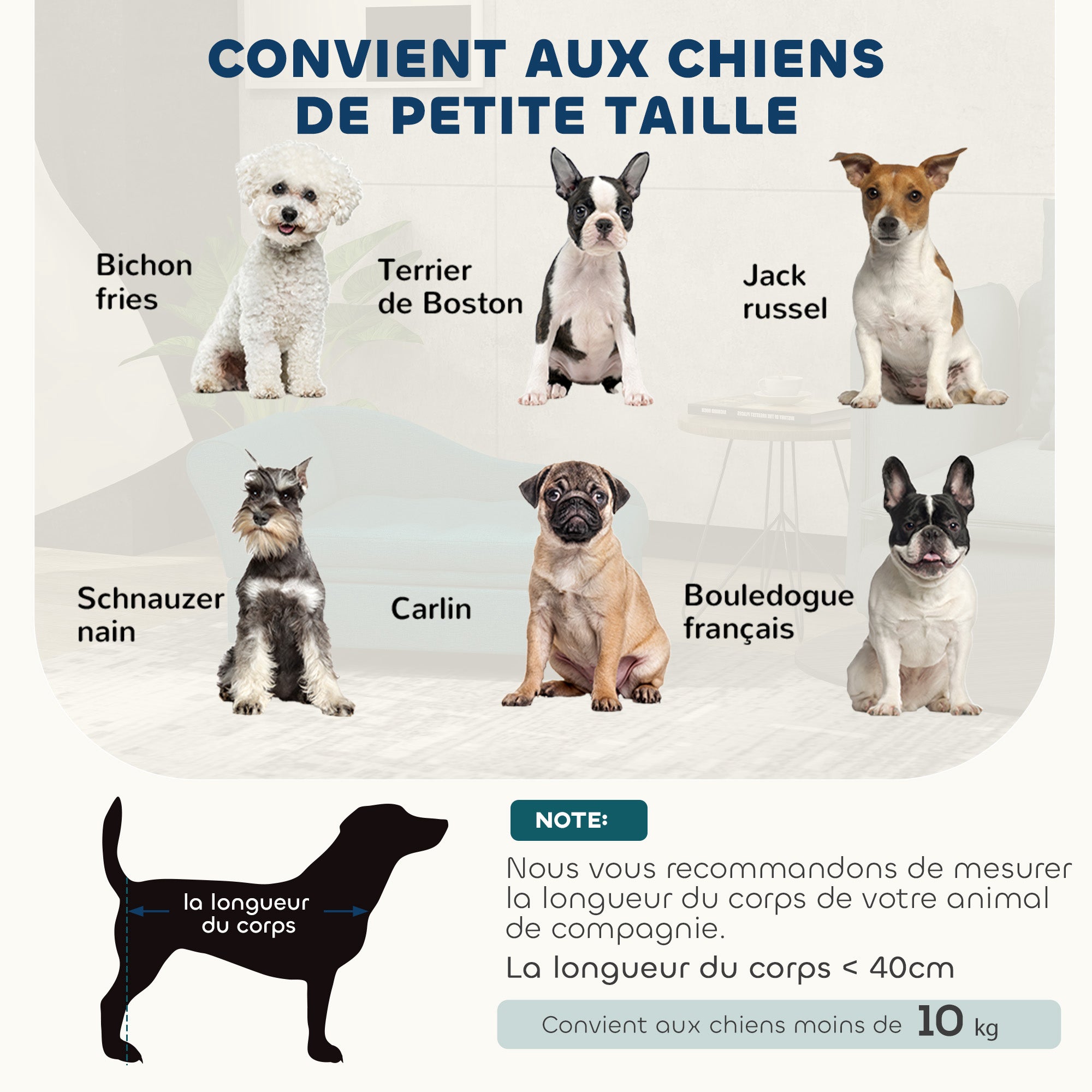 Texte alternatif de l'image