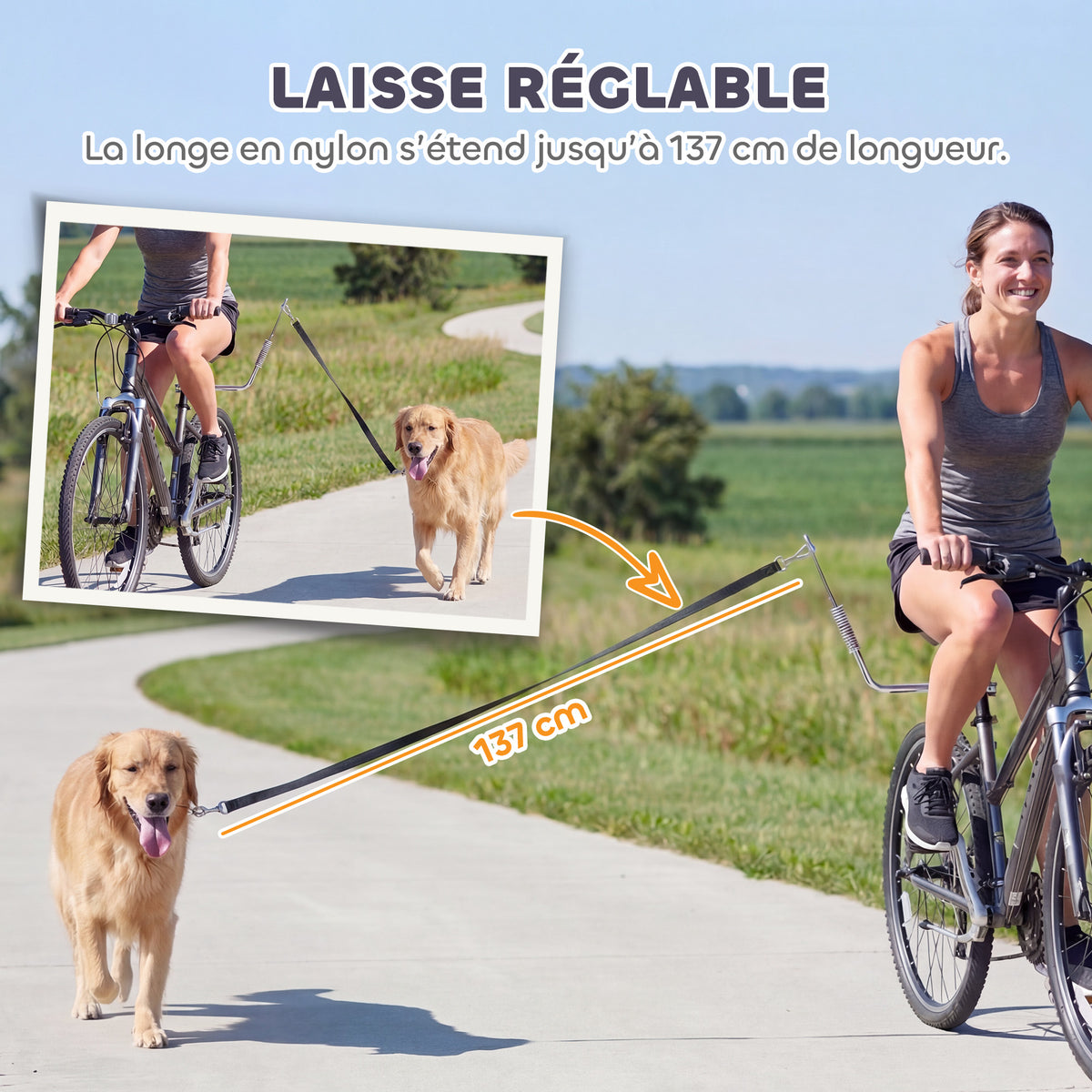 Laisse de Vélo pour Chien 180 cm en Inox , Fixation Rapide, Ressort Amortisseur, Sangle Ajustable, Argent