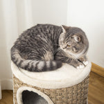 Tonneau à Gratter pour Chat, Arbre à Chat Sisal Naturel et Herbiers Marins Recouvert de Peluche, 37,5 x 37,5 x 70 cm, Kaki et Café