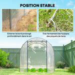 Serre de Jardin Tunnel 6 m² 3L x 2l x 2H m châssis Tubulaire renforcé Porte zippée 2 fenêtres enroulables - transparent