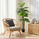 Árbol artificial Planta artificial Monstera Alt. 1,5 m Tronco Ramas Líquen Hojas de costilla de Adán Gran realismo Maceta incluida