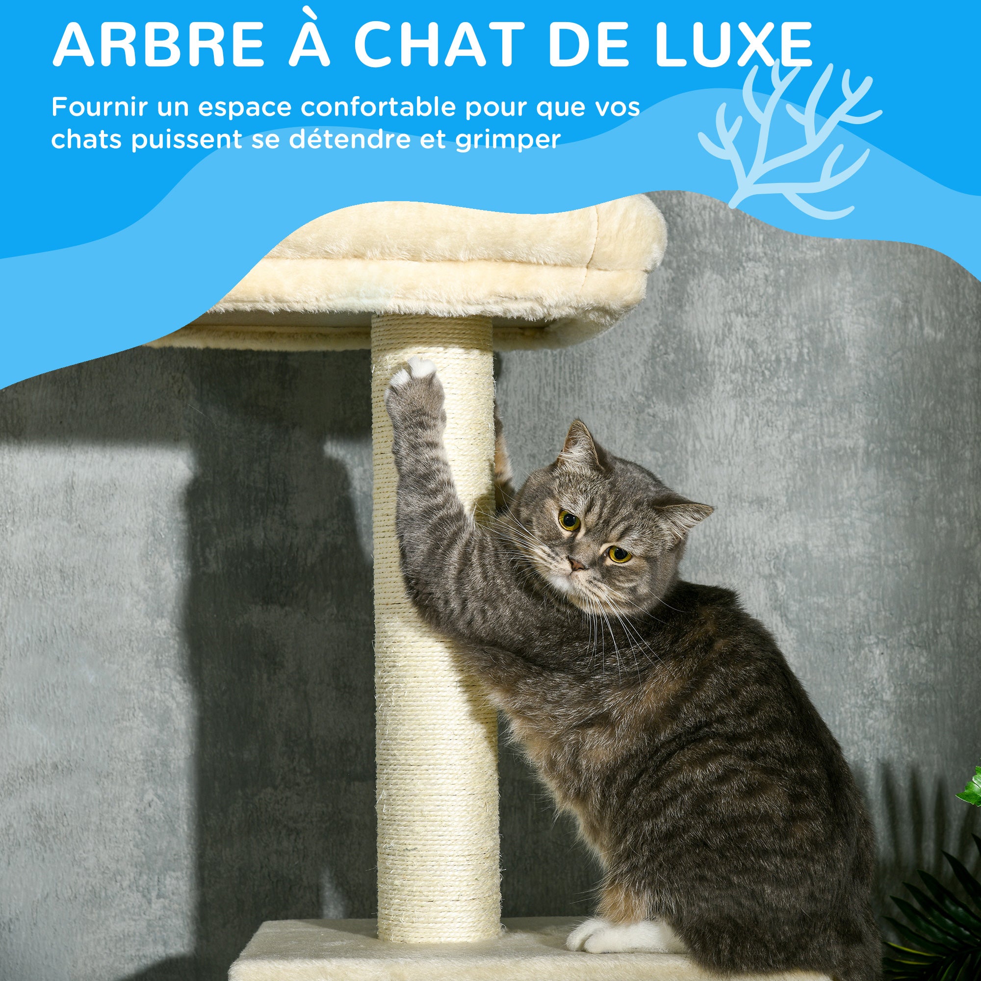 Texte alternatif de l'image