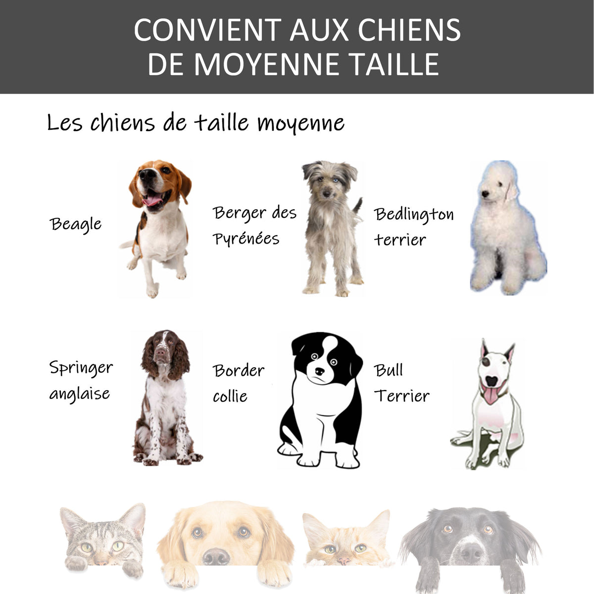Cage pour chien pliable cage de transport sur roulettes 2 portes verrouillables plateau amovible dim. 94L x 58l x 69,5H cm métal gris noir