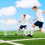 But de football cage de foot but d'entrainement en PVC - piquets inclus - dim. 180L x 92l x 124H cm blanc