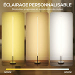Lampadaire LED, lampadaire sur pied salon à intensité variable, télécommande, interrupteur à pied, Ø20x150cm, argent