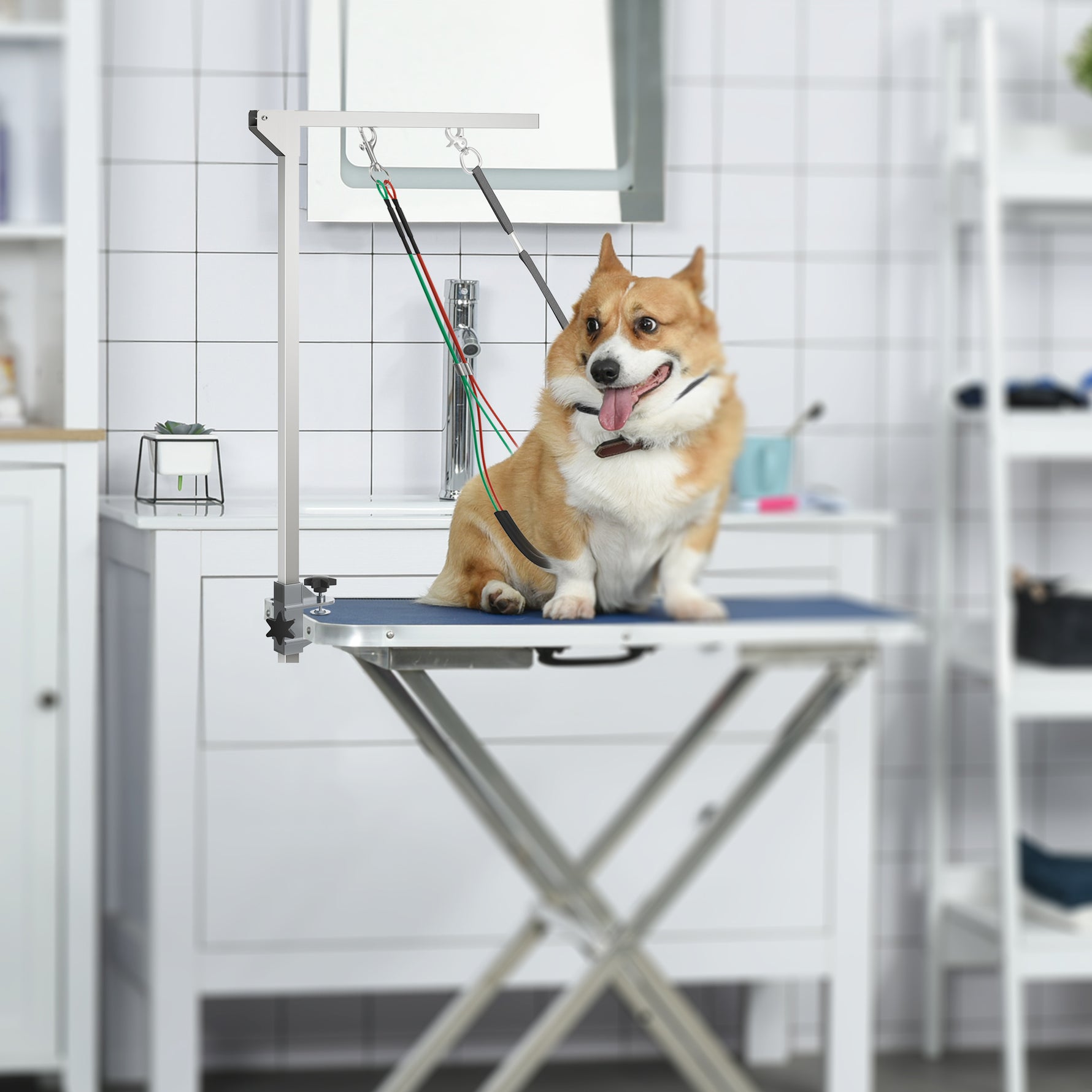 Bras de toilettage pliable pour animaux de compagnie en acier inoxydable avec collier de serrage pour chiens de grande et petite taille hauteur réglable max. 74 cm