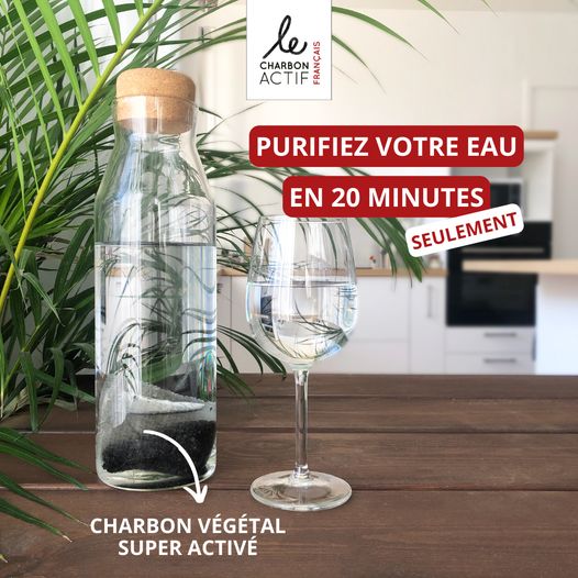 Lot de 2 filtres à eau au charbon végétal actif