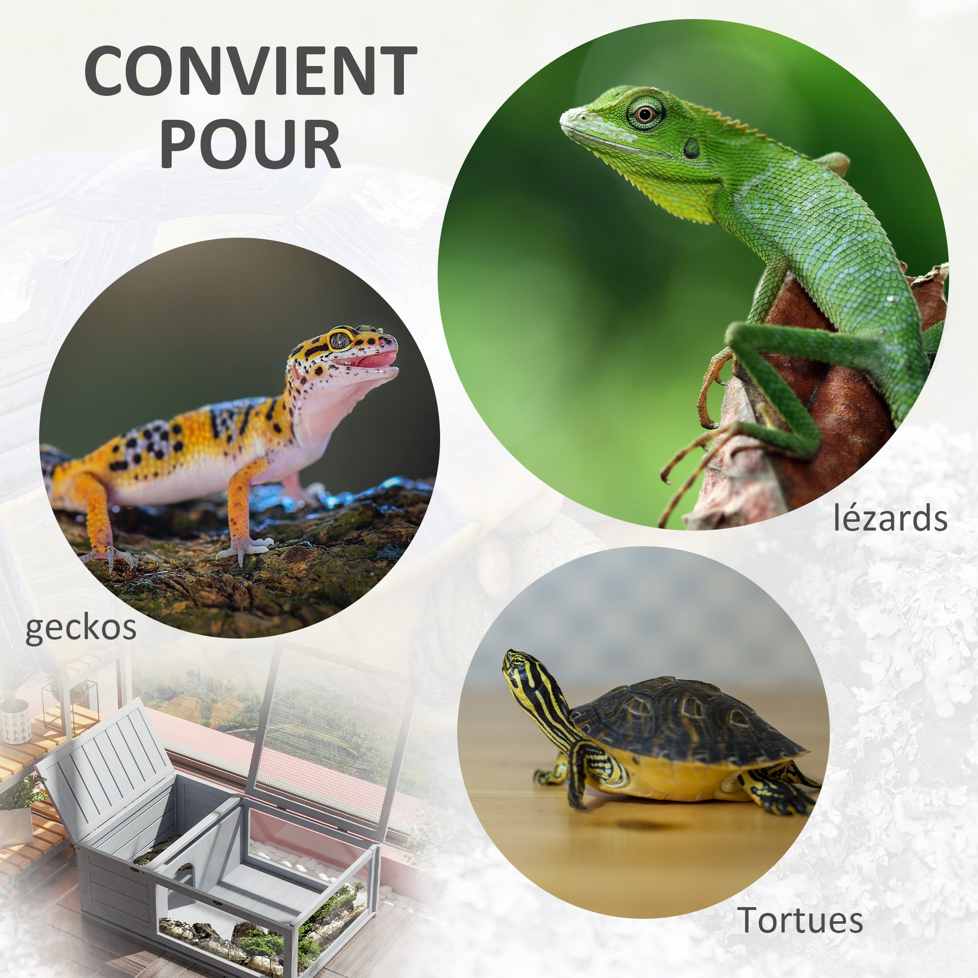 Texte alternatif de l'image