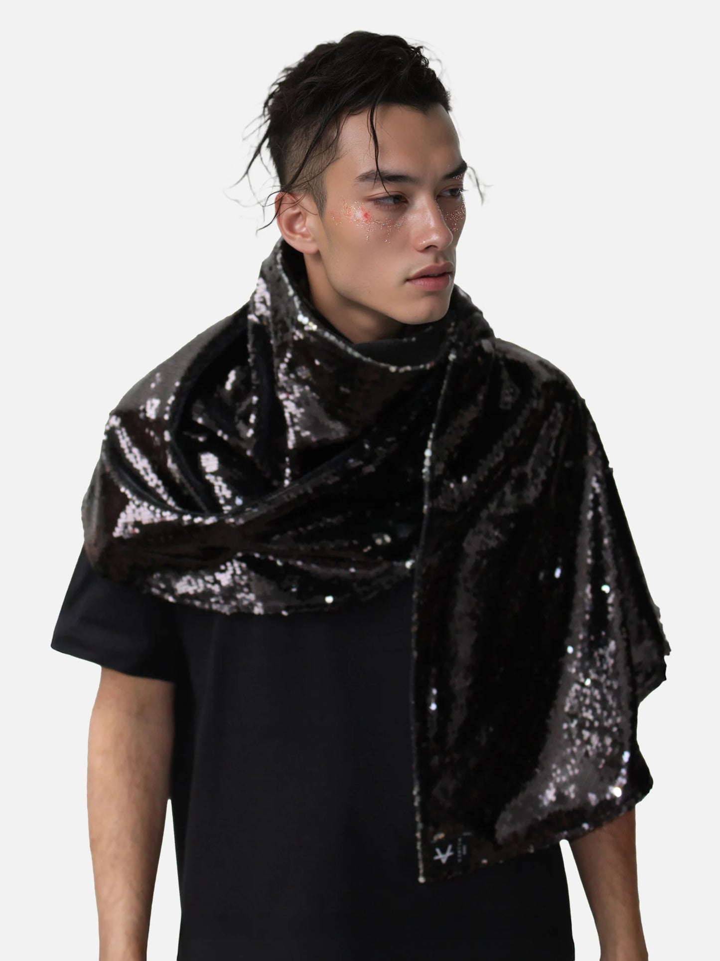 Fudo Knight - Shiny Black / Silver