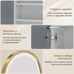 Armoire murale salle de bain avec miroir et éclairage LED, porte arquée, anti-buée, 50x14,5x70cm, doré